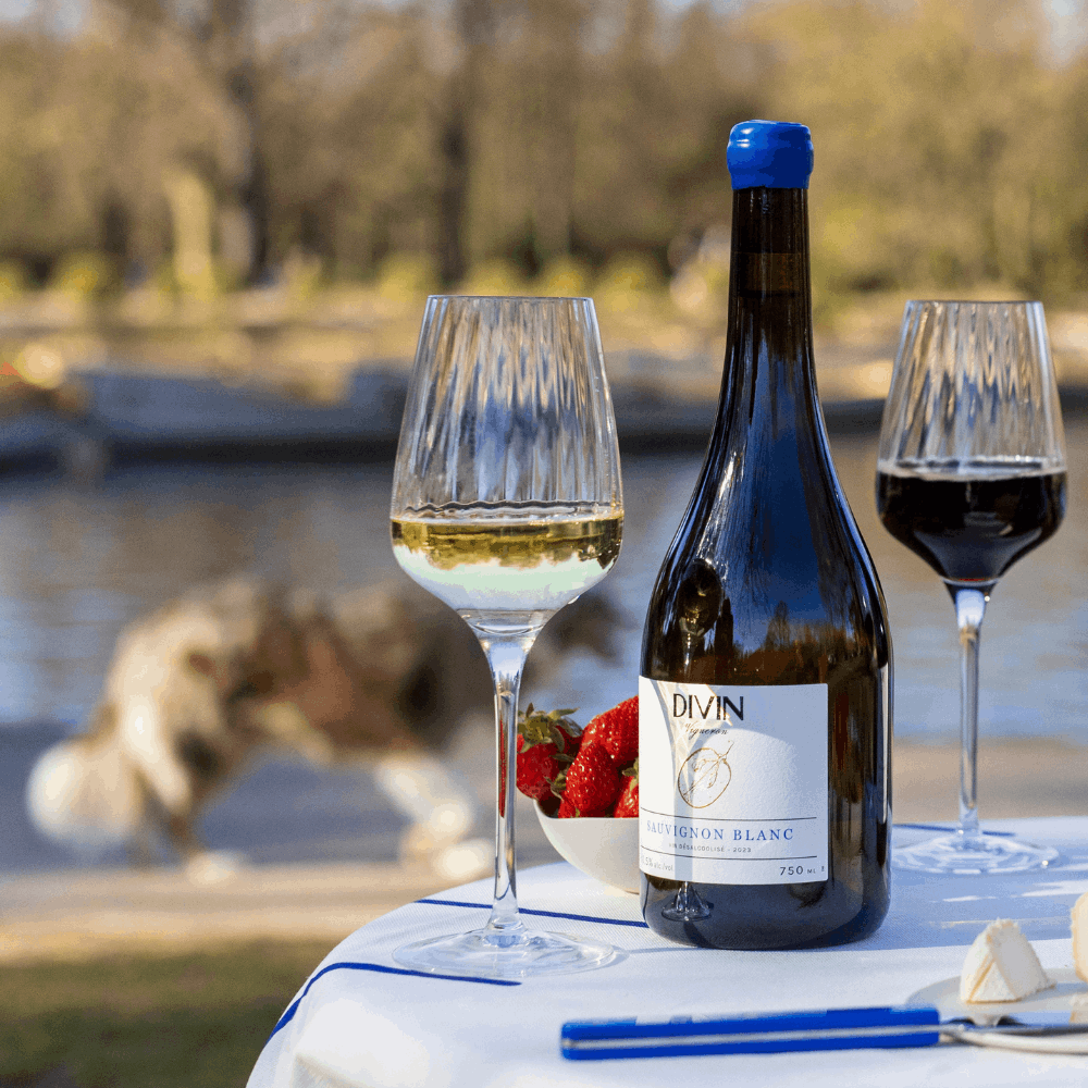 Divin Sauvignon Blanc Low-Alcohol 0.5% ABV 75cl - Image 6