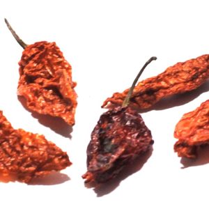 Ghost Chile Pods