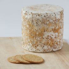 Hartington Blue Stilton PDO BABY 2.3kg