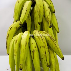 Bunch of Green Plantains (Rejim Bannann Vèt)