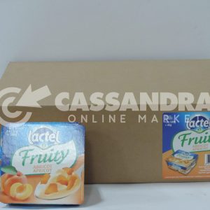 LACTEL FRUITS 12*500G