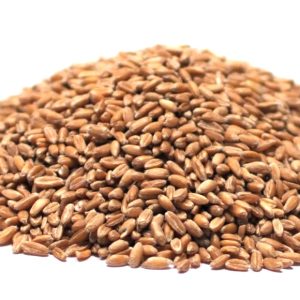 Spelt, Whole (Farro)