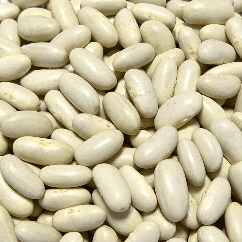 Sabarot Dried Mogettes from Vendee 500g - Image 3