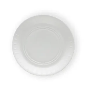 Fomolite Picnic Plates