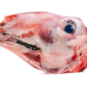 Goat Head (Each)