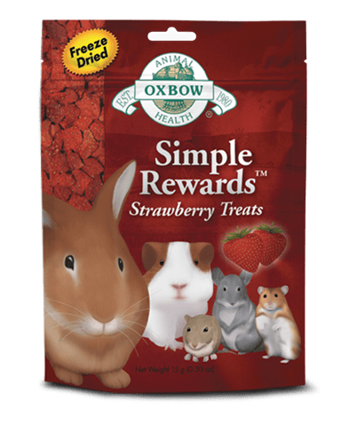 Oxbow Simple Rewards Strawberry Treats