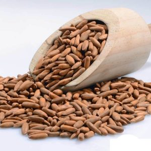 SURAJ Pine Nuts W/O Shell 100 gm